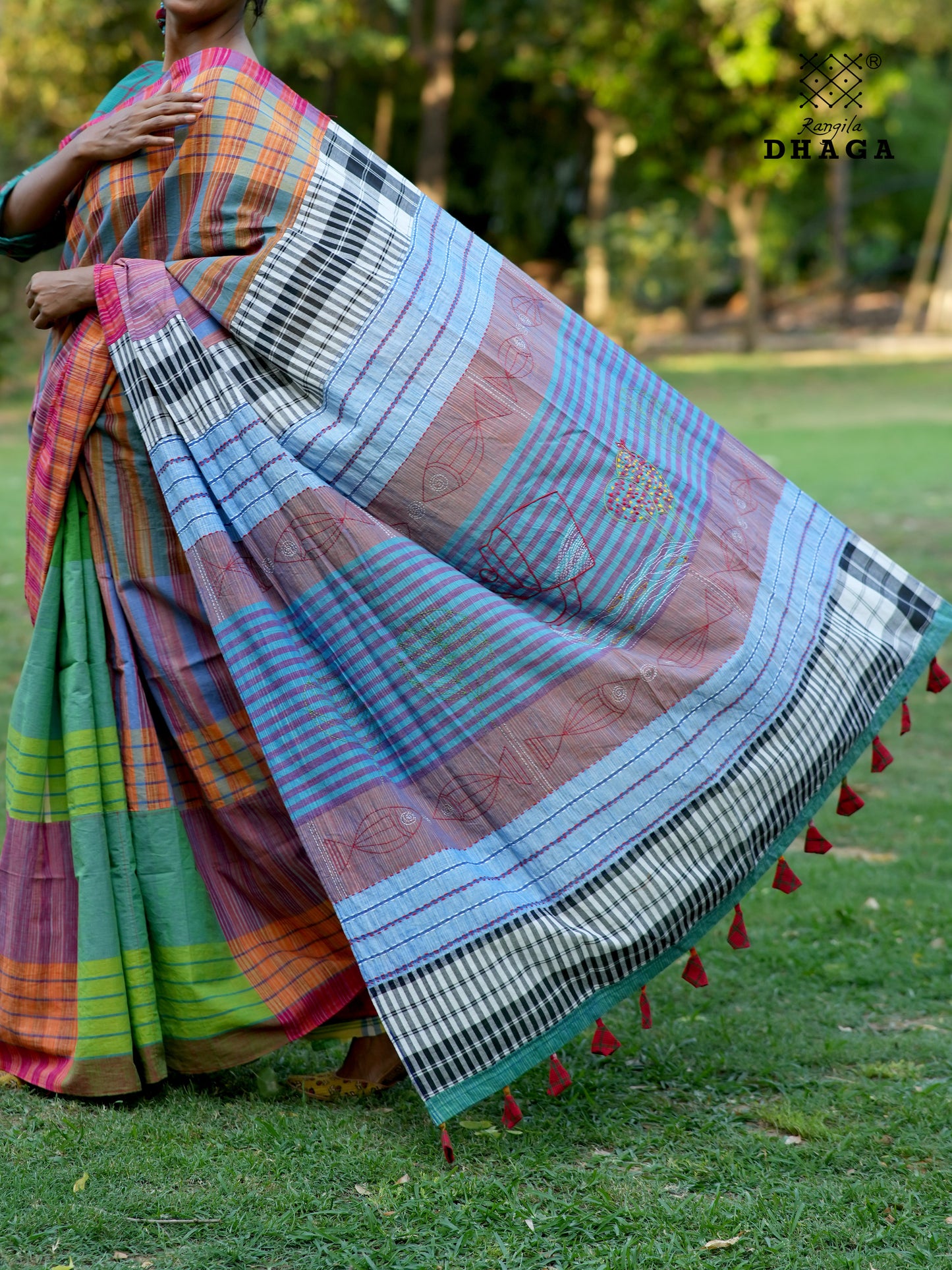 Handloom  Gamcha Saree with Hand Embroidered Fish Pallu in Earth Brown & Blue GS119